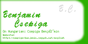 benjamin csepiga business card